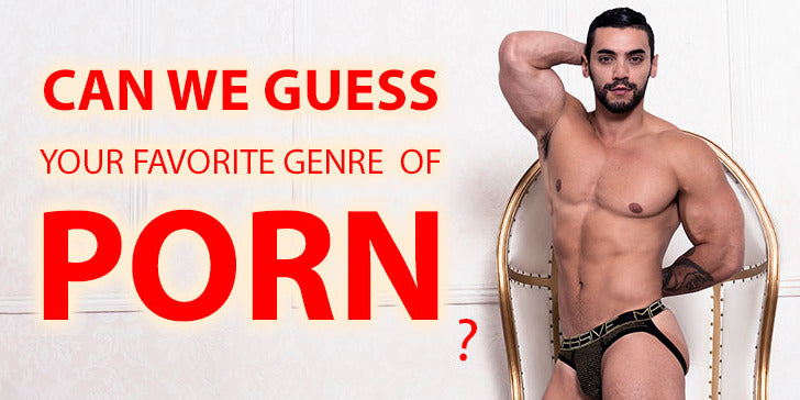 QUIZ: Can we guess your favorite genre of porn?