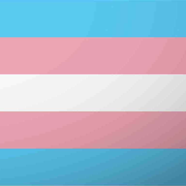 You Can't Erase Trans People: 4 Ways You Can Help Now